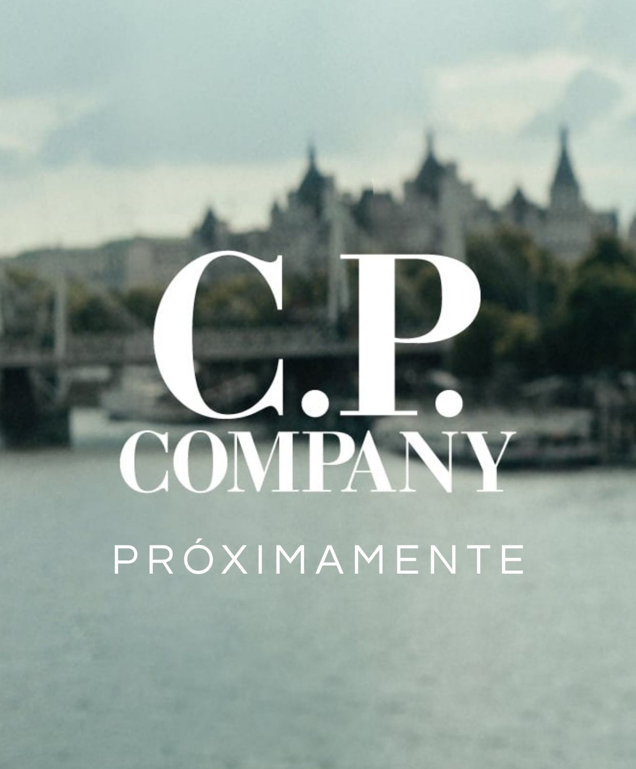 Imagen del slide